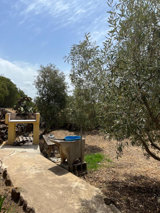 הוילה קוליירי Su Coduleddu מראה חיצוני תמונה